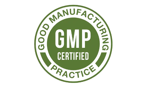 Fast Brain Booster GMP Certified